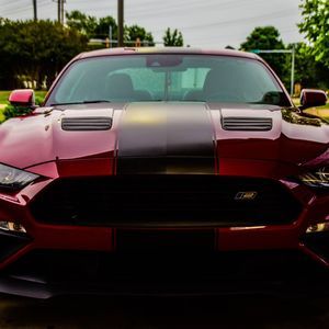 Meet your Posher, Dixie